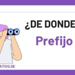 De-donde-es-el-Prefijo-81